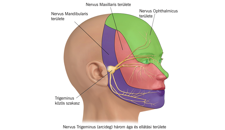 trigeminus neuralgia és látás