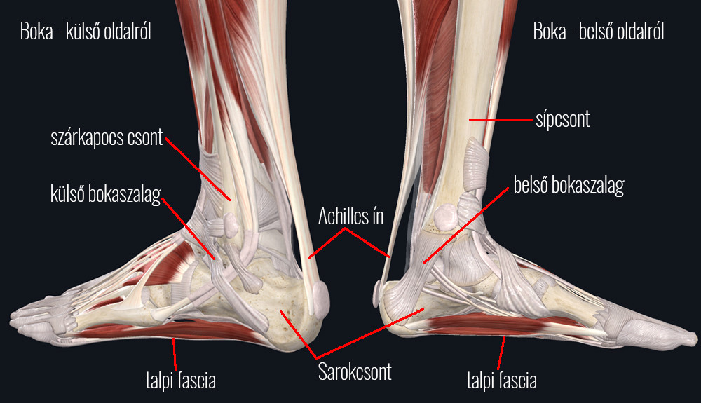 fájdalom a boka és a láb csuklószalag sérülés