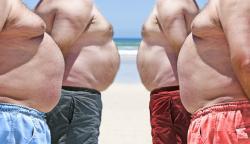 Silverlink fogyás Háború az elhízás szórakoztató fogyás